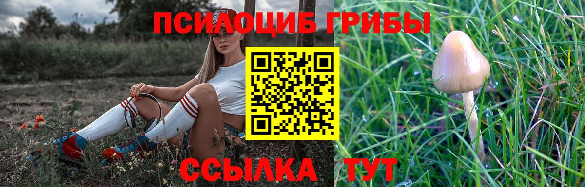 Псилоцибиновые грибы Psilocybine cubensis Альметьевск