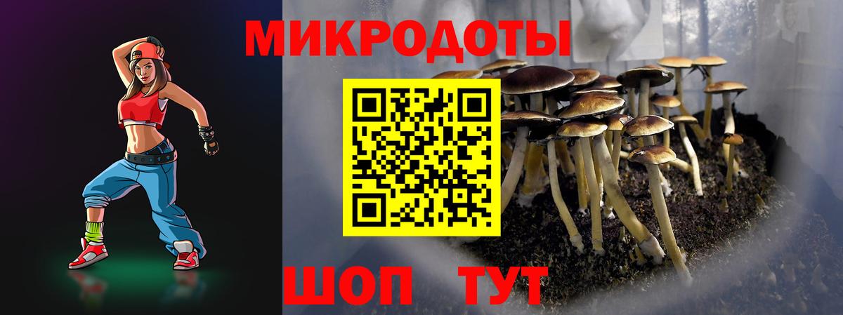 Альметьевск  Галлюциногенные грибы прущие грибы  закладки  Вход с VPN 